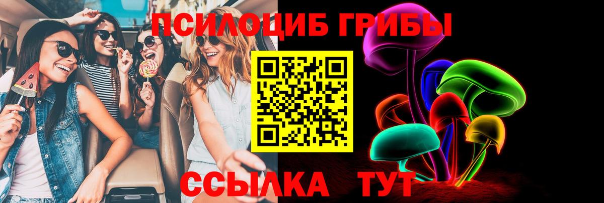 Псилоцибиновые грибы мицелий  Вход с VPN  Кизляр 